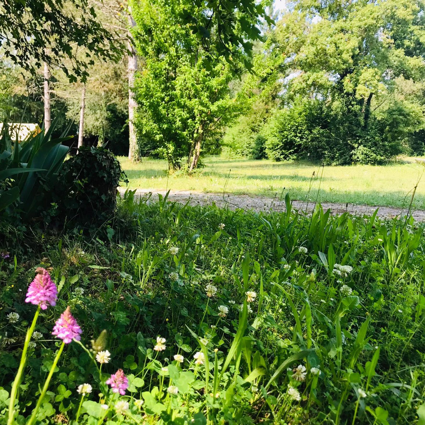 Camping La Vaugelette - Drome Montclar-sur-Gervanne Buitenkant foto